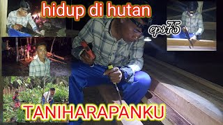 #dkkeluargatani bermalam sekeluarga untuk melanjutkan membangun pondok utama, hidup di hutan eps75,