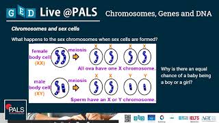 Pass GED Science | Chromosomes, Genes and DNA