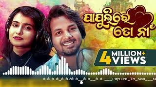 ପାପୁଲିରେ ତୋ ନା (Slowed+Reverb)| Papulire To Naa | Odia Song| Video Song | S Jitu | Soujannya |Manmay