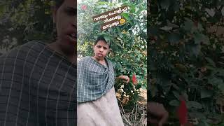 വായും പൊളിച്ച് നിക്കാതെ ഇറങ്ങടോ 😂🤣#funnycomedy 😂#comedy😂🤣#youtube shorts