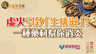 農本方特約：【中醫藥透視】復發性口瘡（嘉賓：宸杏醫研有限公司 胡宸中醫師）