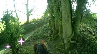 FIRST RIDE  after two weeks holiday galloping up hill