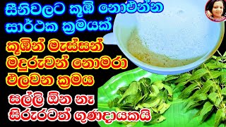 සීනි බෝතලේ කූඹි,ගෙමැස්සන්, මදුරුවන් නොමරා පළවා හරින සාර්ථක ක්‍රම Natural ways to repel pesky insects