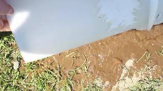 Flooding Gopher holes with water.