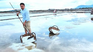 Salt Production | ស្រែអំបិល | Kampot, Cambodia | vuthycam |