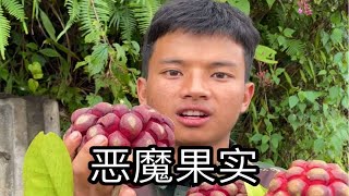 黑老虎