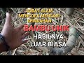 SOBAT ALAM MENCARI KEINDAHAN DI HUTAN BAMBU