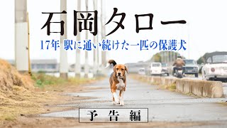 『石岡タロー』予告編