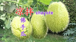 有刺佛手瓜长到多大的时候最好吃？有刺合掌瓜怎么吃？Chayote Salad