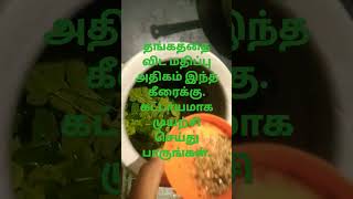 அதிக சத்துக்கள் நிறைந்த முருங்கைக்கீரை சூப்.