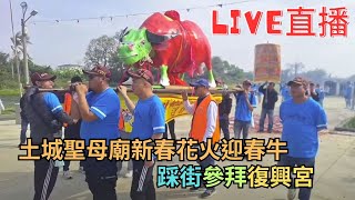 20250208土城聖母廟新春花火迎春牛踩街參拜復興宮#直播