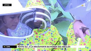 A la découverte de l’apiculture et des abeilles, essentielles pour l’environnement.