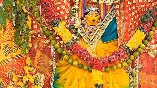 Shri Gandhari Maisamma Bonalu 28 July 2024 Bokkalagutta | Mancherial District | Telangana