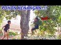 POHON KENANGAN..!! MASA KECIL YANG INDAH TAK TERLUPAKAN..!!