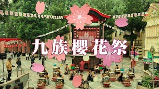 2024 九族櫻花祭太鼓表演 __舞之鼓與鳳天神鼓