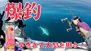 【タイラバ】極細ロングカーリー早巻きで真鯛爆釣！2馬力ゴムボート