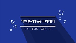 태백총각Tv품바이태백#월포해수욕장  7월14일ㆍ목요일