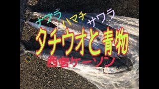 西宮ケーソン タチウオ、サワラ、ハマチ fishingmax 武庫川