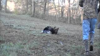 Bowhunting Ky Longbeards 2011 edit