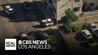 Shooting leaves one hospitalized in South LA