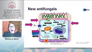 FUNGAL INFECTIONS AND STEM CELL TRANSPLANTATION IN THE COVID ERA