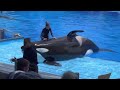 Orca Encounter  -   SeaWorld Orlando  |  Estados Unidos