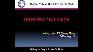 SỎI ĐƯỜNG MẬT CHÍNH | Giảng viên: Vũ Quang Hưng