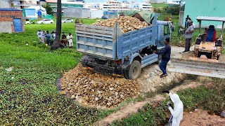 Great Work Quick KOMATSU Bulldozer With Dump Truck Filling Stone Flooded Area