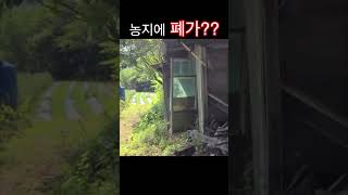 농지연금인데 폐가가 있다면?? #농지연금#폐가#농지건축물