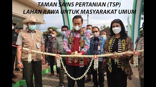 TAMAN SAINS PERTANIAN (TSP) LAHAN RAWA UNTUK MASYARAKAT UMUM