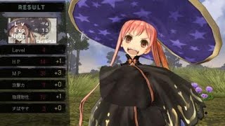 アーシャのアトリエ ～黄昏の大地の錬金術士～ DX_ウィルベル レベルアップ