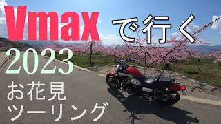 【モトブログ】勝沼の甚六桜を見に行ってきた