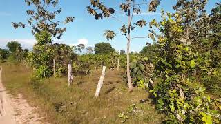 ដំណើរលើកទី៣ ទៅមើលដីនៅស្រុកក្រគរ 100 x 50 M2 video 2024.12.30 17:39:26