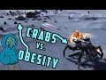 Crabs vs. Obesity!! | Supreme Commander Forged Alliance Forever | Cast #104 | 1v1 on MapGen!