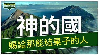 [聖經經文和禱告][中英雙語/Bilingual Chinese and English]神的國必從你們奪去，賜給那能結果子的民。| #讀經 #靈修 #默想 #禱告