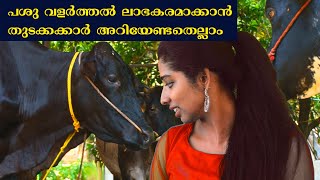 പശു വളർത്തൽ നഷ്ട്ടമോ ലാഭമോ | ഫാം തുടങ്ങുന്നതിന് മുൻപ് ഇക്കാര്യങ്ങൾ അറിഞ്ഞിരിക്കുക |  Dairy Farming