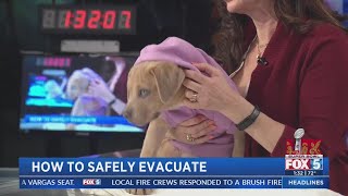 How to safely evacuate pets during wildfires