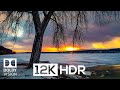 Future of 12K HDR 60fps | 8k Vision | Dolby Vision