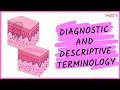 DIAGNOSTIC AND DESCRIPTIVE TERMINOLOGY || ORAL PATHOLOGY || DENTAL CLASSES BY DENTAL CAFE