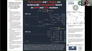 SBE meeting 2021's poster presentations: Adam et al.: RAD-Seq, SNPs, ultraconserved elements, coral