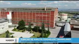 PANCAR VE NAKLİYE ÖDEMELERİ TAMAMLANDI  / Çorum Şeker Fabrikası, 420 Milyon Lira Ödeme Yaptı