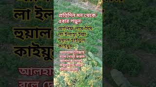 প্রতিদিন মন থেকে ৫ বার পড়ুন #islamicinspiration #short video#motivation