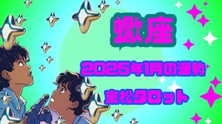 【蠍座】2025年1月の運勢✨見た時がタイミング✨