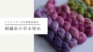 刺繍糸の草木染め