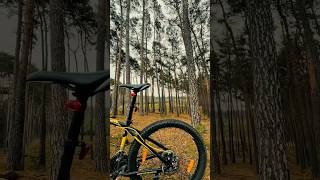 МТБ и природа #mtb #winter #nature