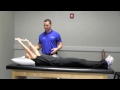 forward flexion exercise