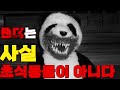 【미스테리】 팬더는 곰인데 왜 채식을 하는가 ..?