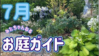 【7月の庭ガイド】夏の園芸作業は水遣りのみ／ローメンテナンスで楽しむ庭