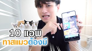 10 แอพ ที่ทาสแมวต้องมี