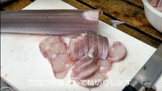 切り刻まれてもピクピク動く鮫  During cooking of shark. sharks died 6 hours ago.